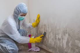 Mold Remediation for Vacation Homes in Colonia, NJ